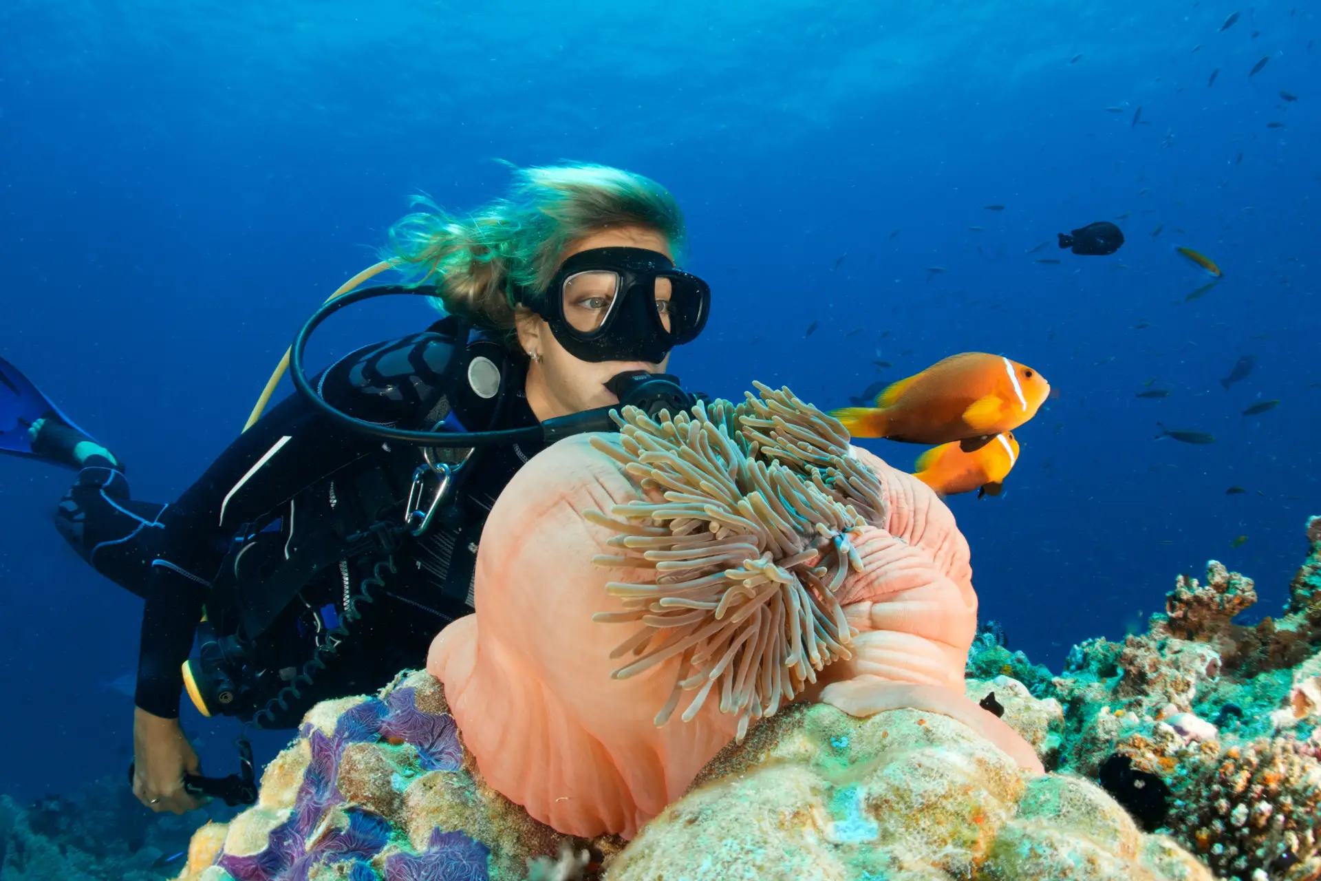 discover scuba diving bohol