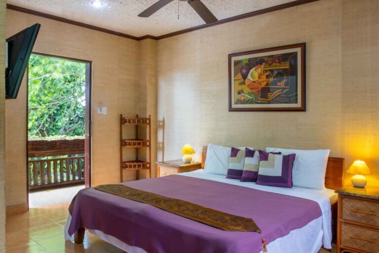 Deluxe Aircon Room 1