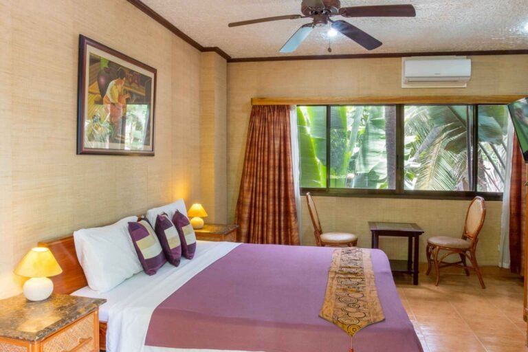 Deluxe Aircon Room 2