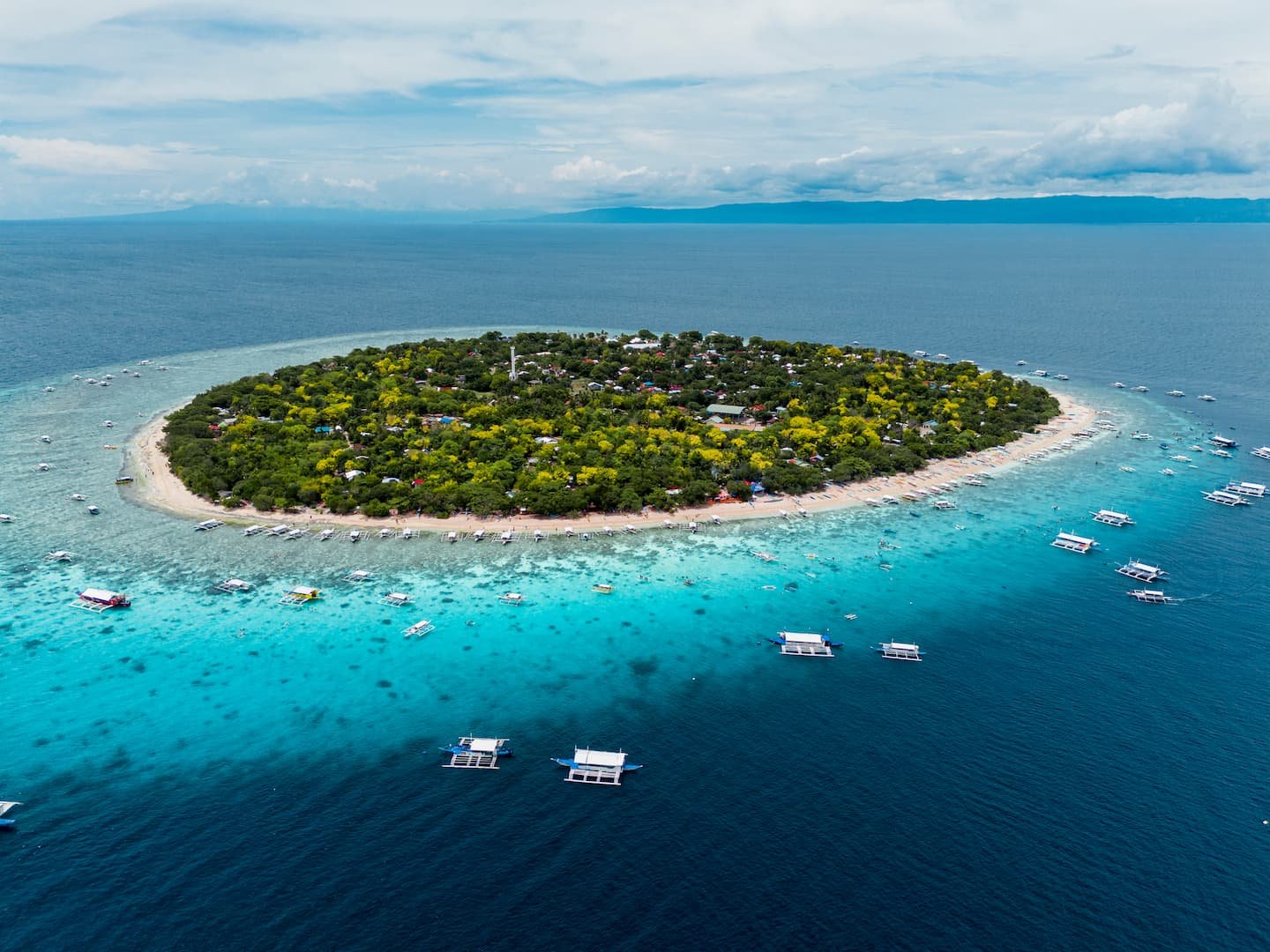 Dive sites in Balicasag Island