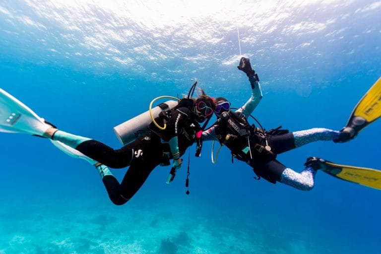 PADI DIVEMASTER INTERNSHIP Feature Img