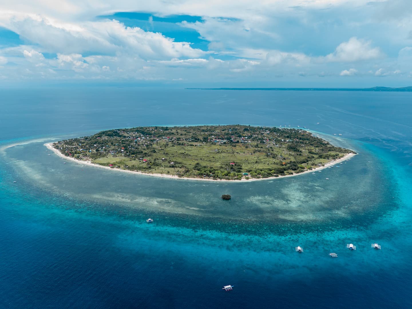 Pamilacan Island dive sites