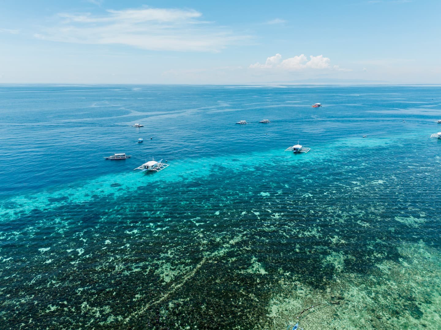 Panglao island diving