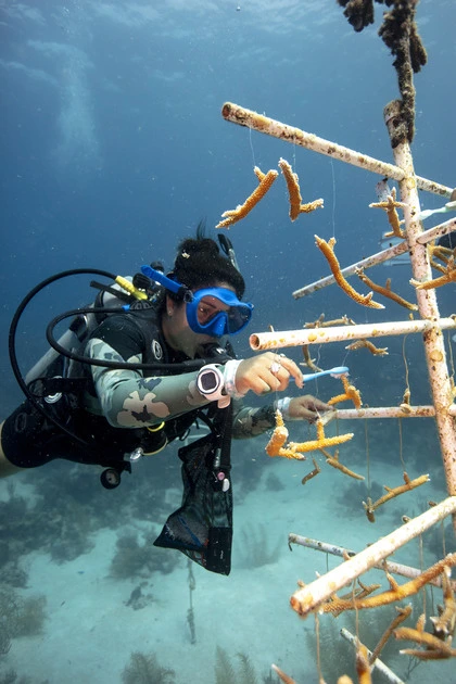 Photo3 15 24104557AM ezgif.com jpg to webp converter