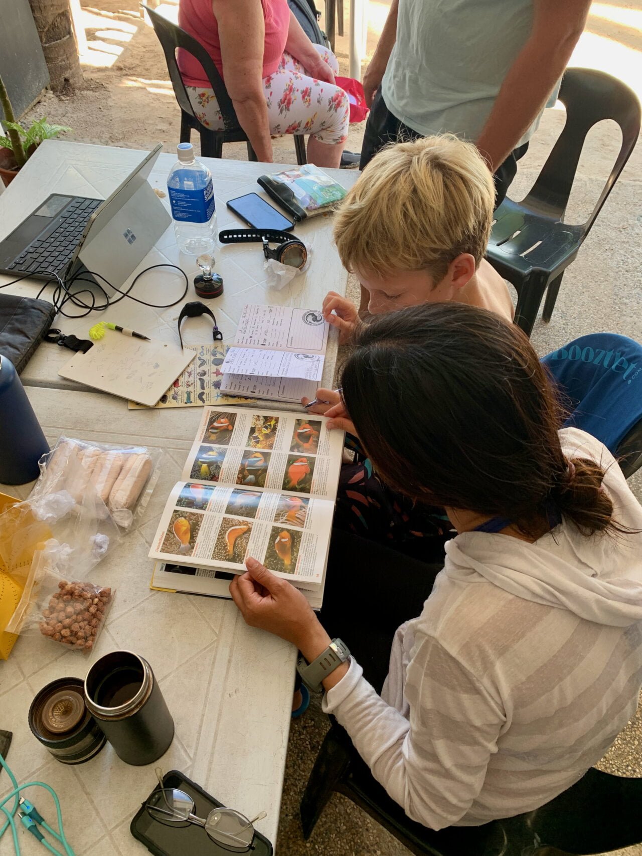 Pic4 Junior Adventure Diver Learning About Fish Identification img