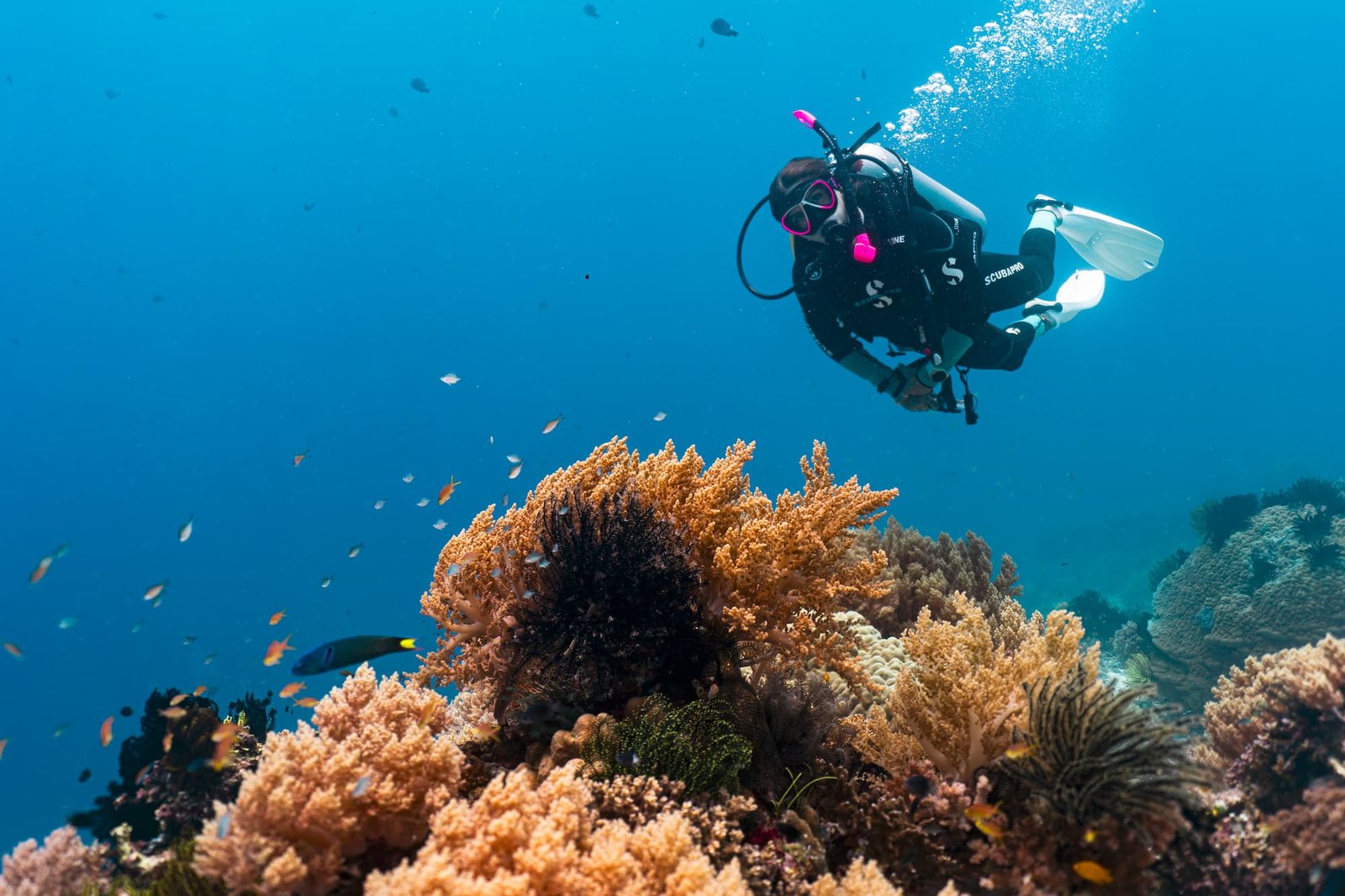 Resort Room 3 Nights-img