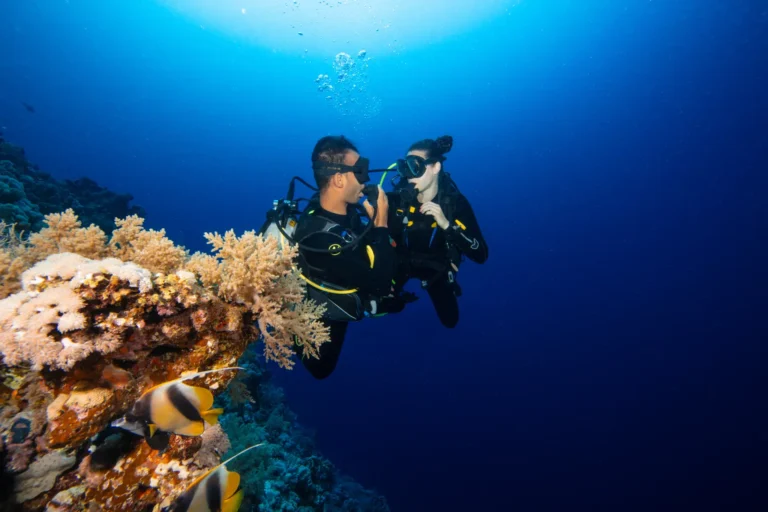 padi open water bohol