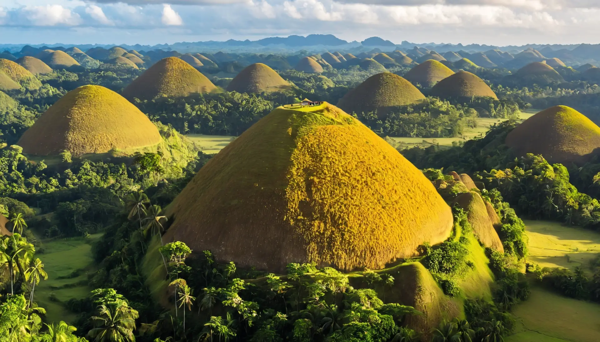 travel tips bohol