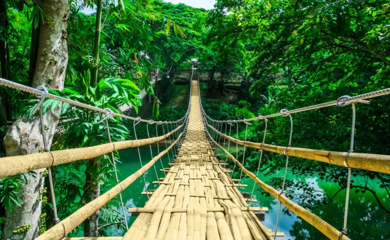 sipatan hanging bridge